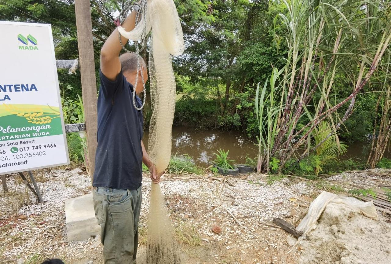 Dangau Sala D'Kontena Alor Setar Exteriör bild