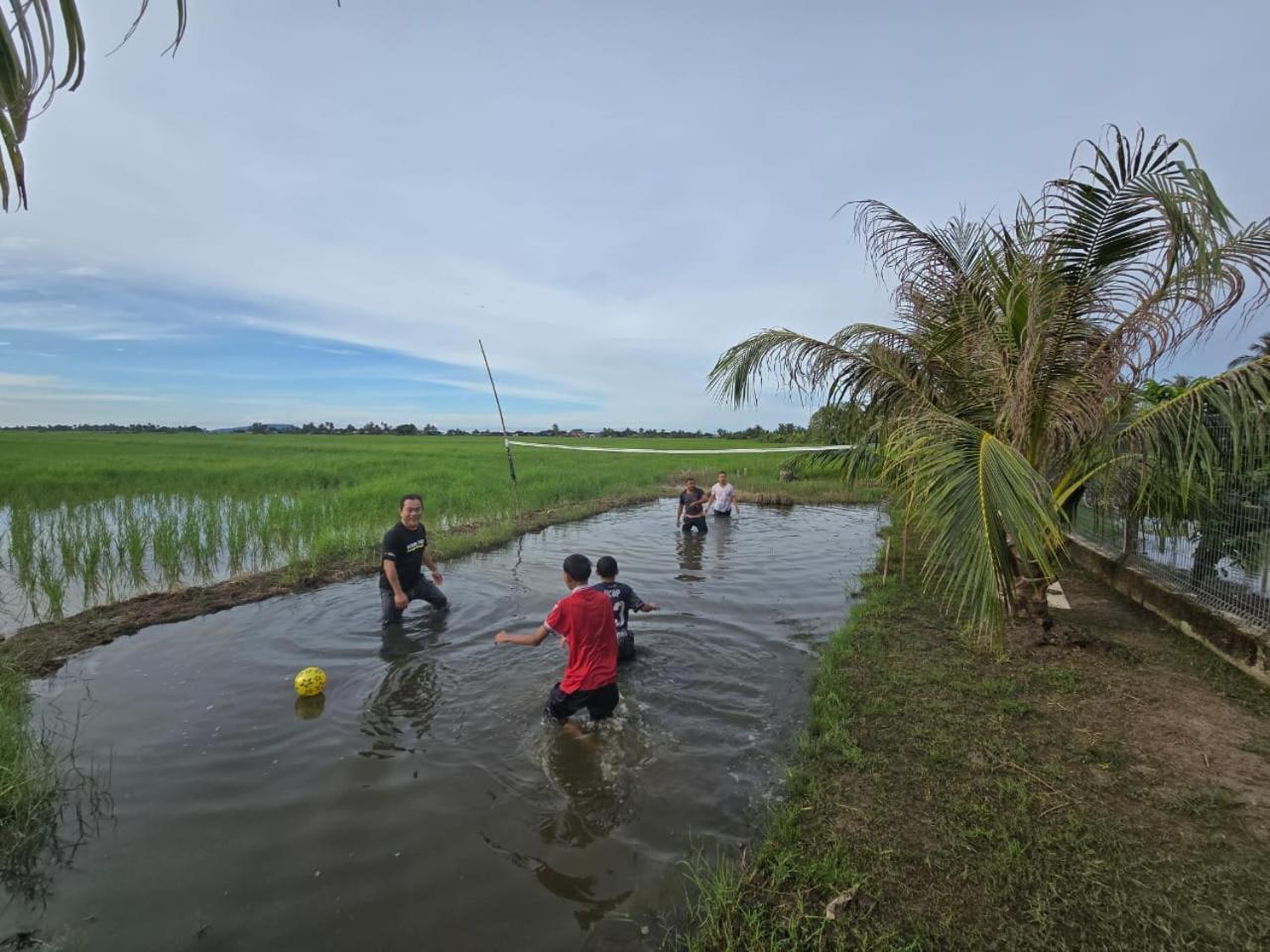 Dangau Sala D'Kontena Alor Setar Exteriör bild